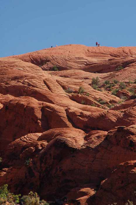 Petrified Dunes